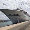 amadea  3